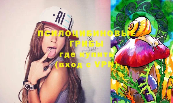 не бодяженный Абаза