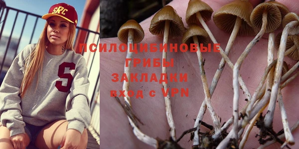 spice Абдулино