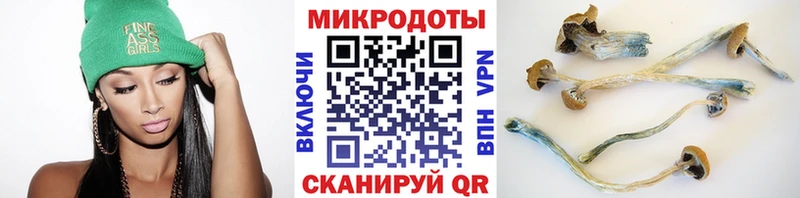 цена наркотик Рыльск блэк спрут ССЫЛКА Псилоцибиновые грибы ЛСД
